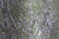 Royal Tunbridge Wells fibreglass roof work